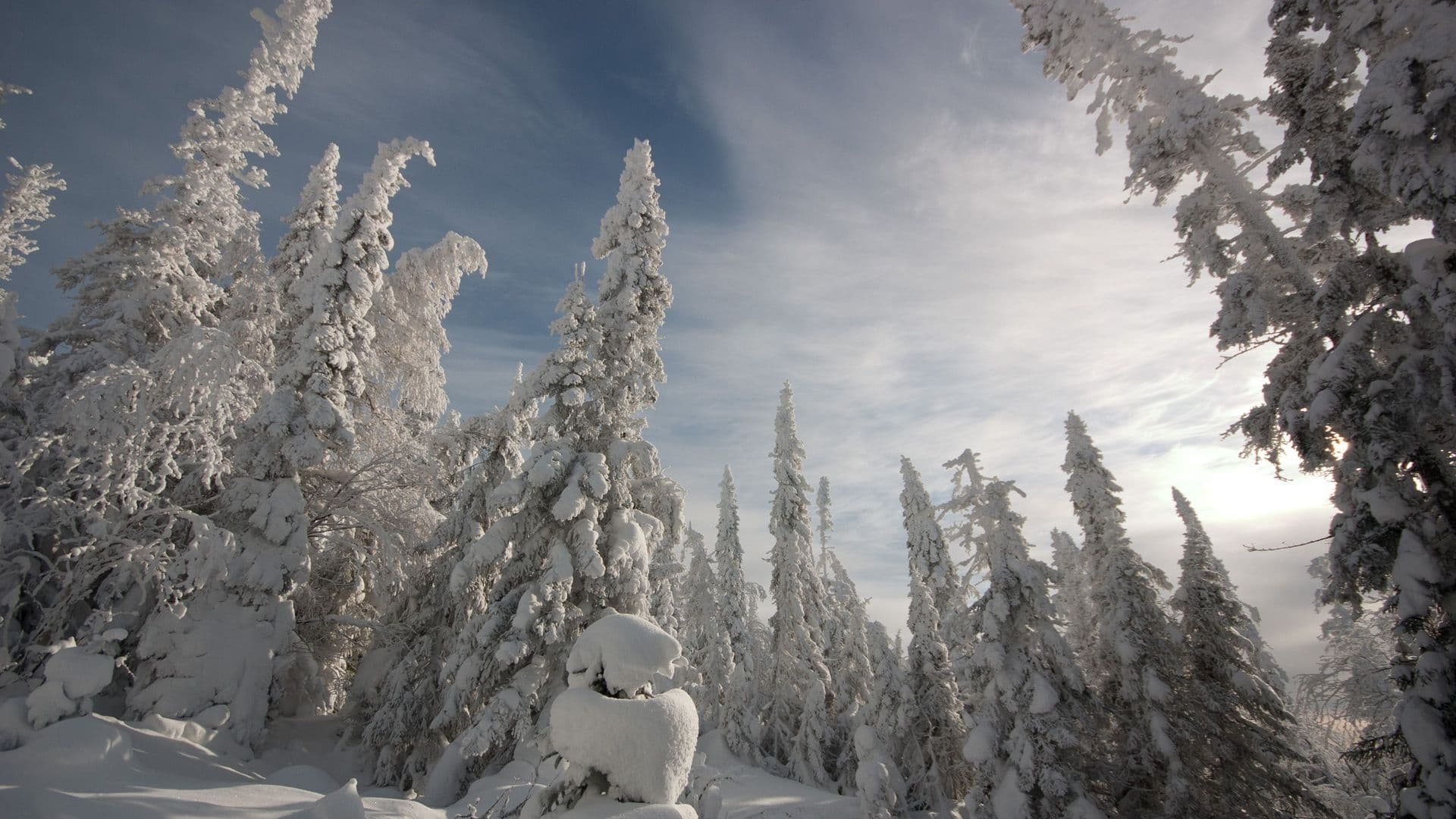 Richesse en ressources naturelles