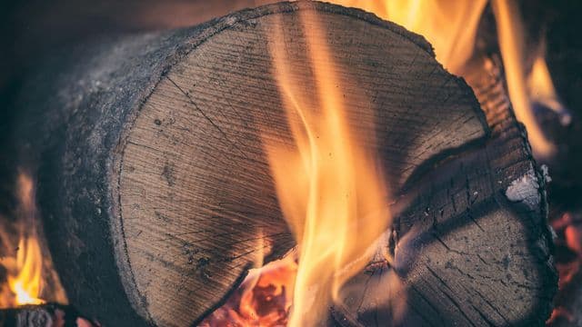 Projet Minheekw : Lebel-sur-Quévillon mise sur le biocarburant avec une usine de pyrolyse