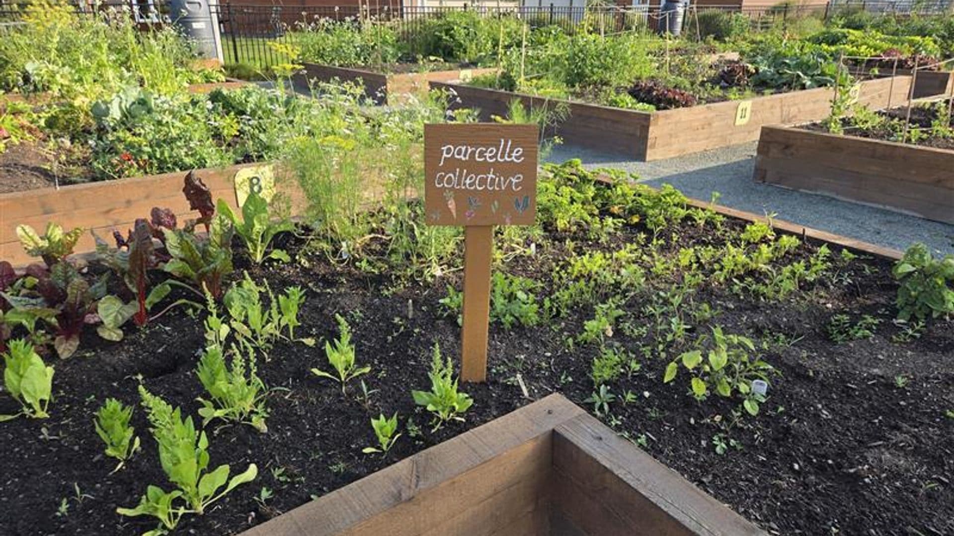 https://auroreinfo.com/api/articles/file/image-eco-jardin-chibougamau-fb-faunenord-1920x1080.jpg