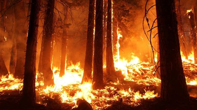 https://auroreinfo.com/api/articles/file/image-feu-foret-pxhere-2-640x360.jpg