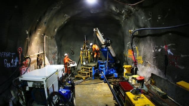 https://auroreinfo.com/api/articles/file/image-forage-or-flickr-640x360.jpg