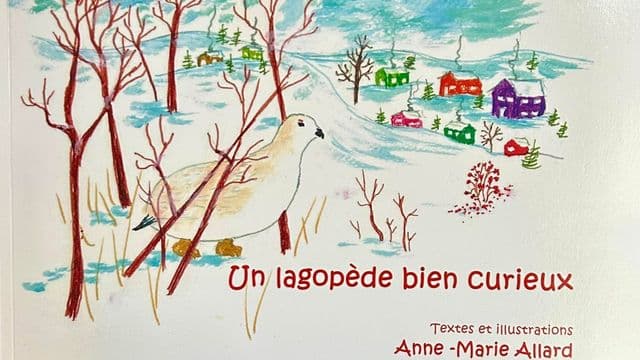 https://auroreinfo.com/api/articles/file/image-livre-lagopede-fb-anne-marie-allard-1-640x360.jpg