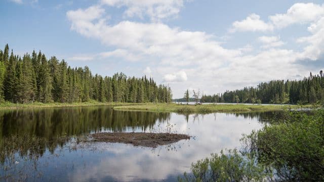 La Corporation Nibiischii : une reconnaissance qui met en lumière le tourisme autochtone 