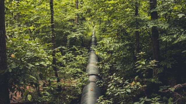 Marinvest Energy : un projet de gazoduc traversant la Baie-James sème la controverse