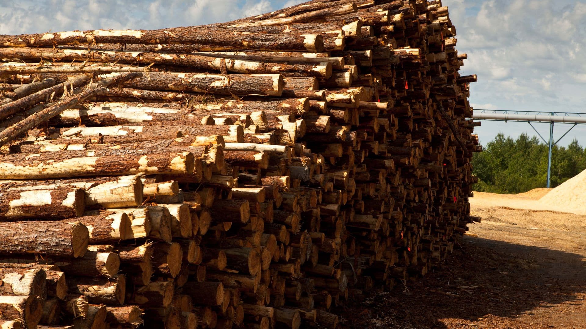 Crise forestière : Québec promet des mesures pour stabiliser l’industrie, un enjeu pour la Baie‑James 