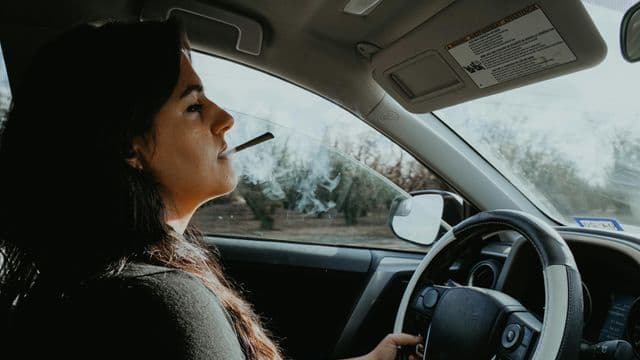 Cannabis au volant : la SAAQ renforce sa prévention à l’approche des fêtes 
