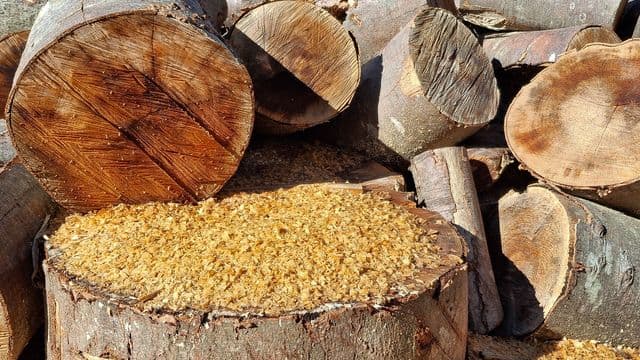 Un financement nordique de 100 000 $ pour un pôle énergétique à Matagami