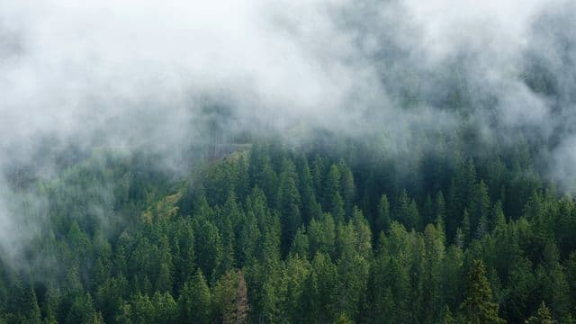 https://auroreinfo.com/api/articles/file/pexels-knick-22668237-640x360.jpg