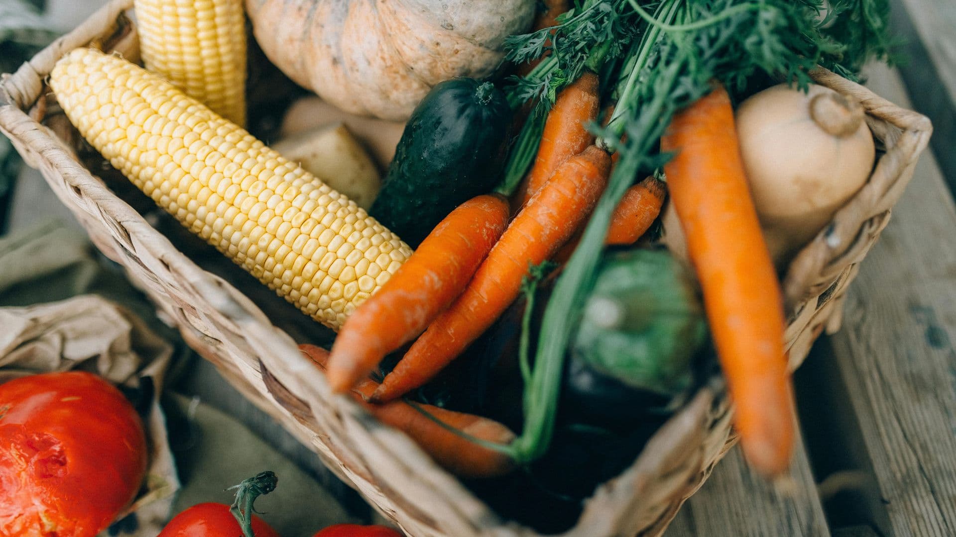 Foire d’Automne d’Abitibi-Ouest : Villebois et Valcanton engagés dans l’inventaire des surplus agricoles pour mieux valoriser les récoltes locales 