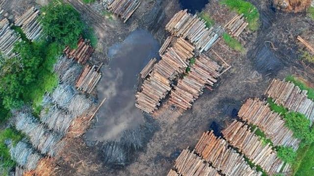 Relance de la scierie de Matagami, entre espoir et incertitude 