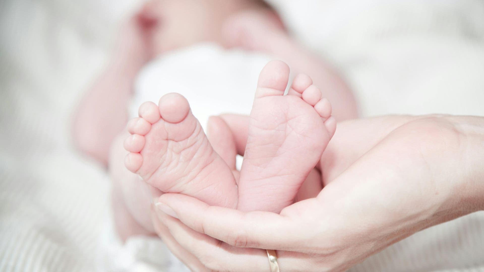 https://auroreinfo.com/api/articles/file/pexels-reneterp-325690-1920x1080.jpg