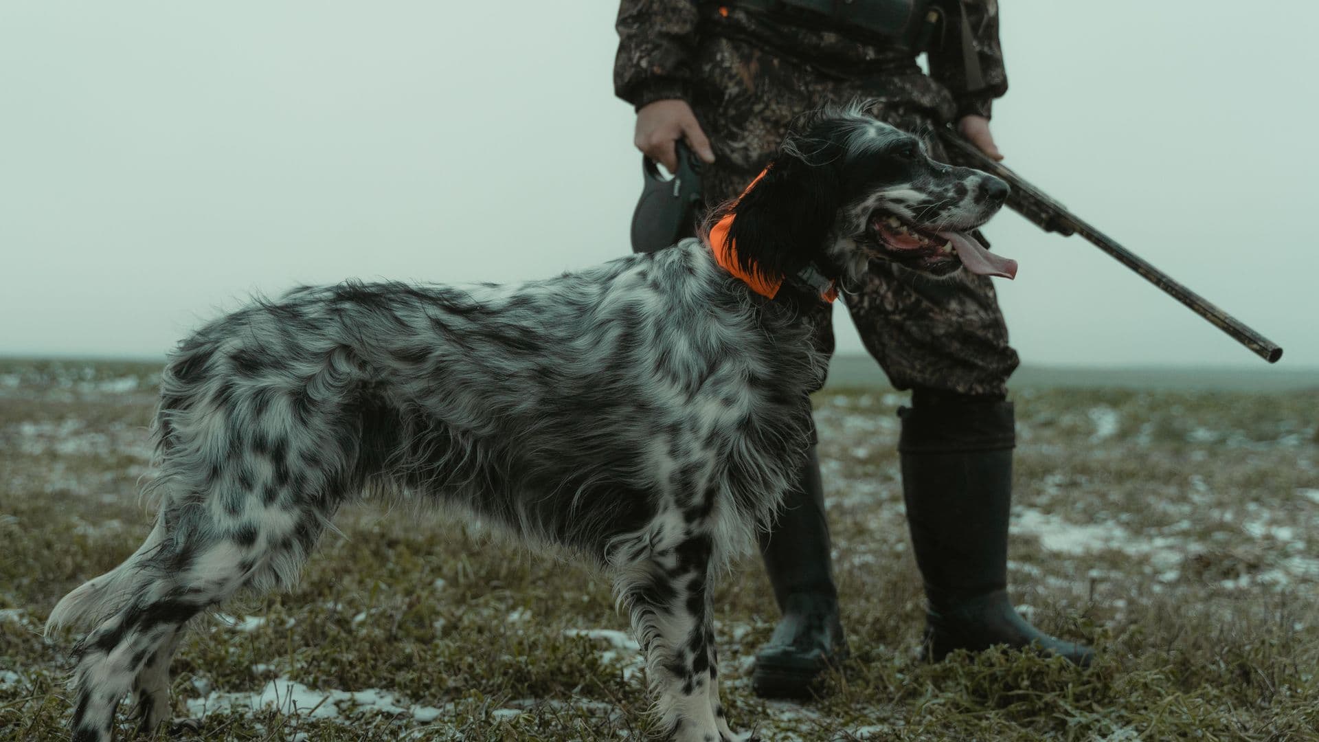 Chasseur 