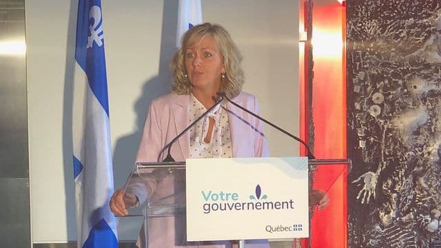 Plan d’action gouvernemental pour la vitalité et l’occupation des territoires 2025-2029 - Synergie au service des Québécois