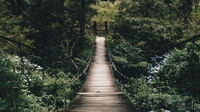 Fermeture immédiate du pont R0801-03 sur le chemin Abiex : mesures de sécurité en vigueur 