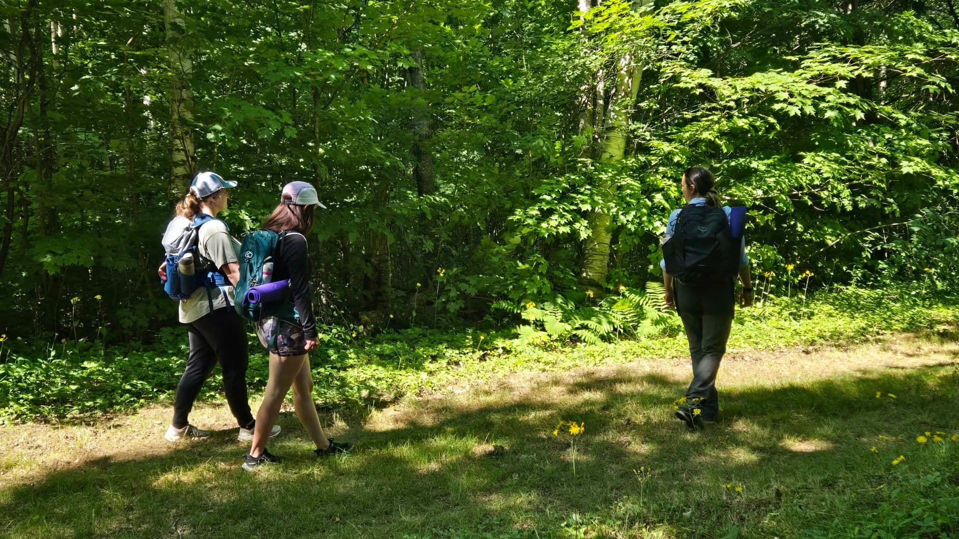 Le Shinrin-Yoku consiste d’une marche lente guidée qui se déroule principalement en silence dans un milieu naturel. Cette approche japonaise agit en prévention sur la santé globale et sur le bien-être général