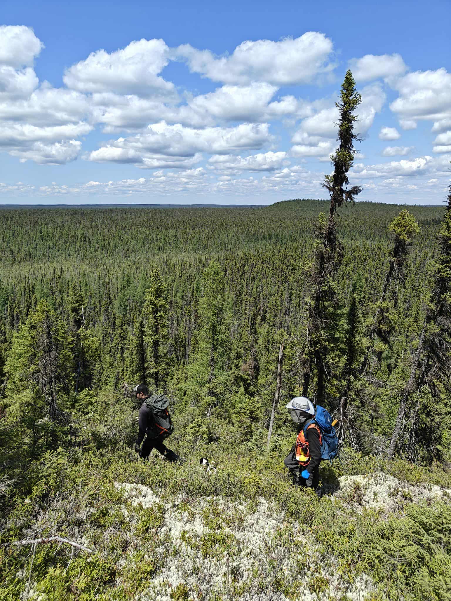 Géologues du groupe de Laurentia Exploration, sur le terrain, en campagne de prospection à l'été/automne