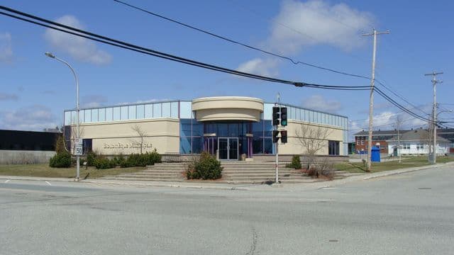 Arts à la Baie-James : deux ateliers pour stimuler la créativité à la Bibliothèque municipale de Chibougamau