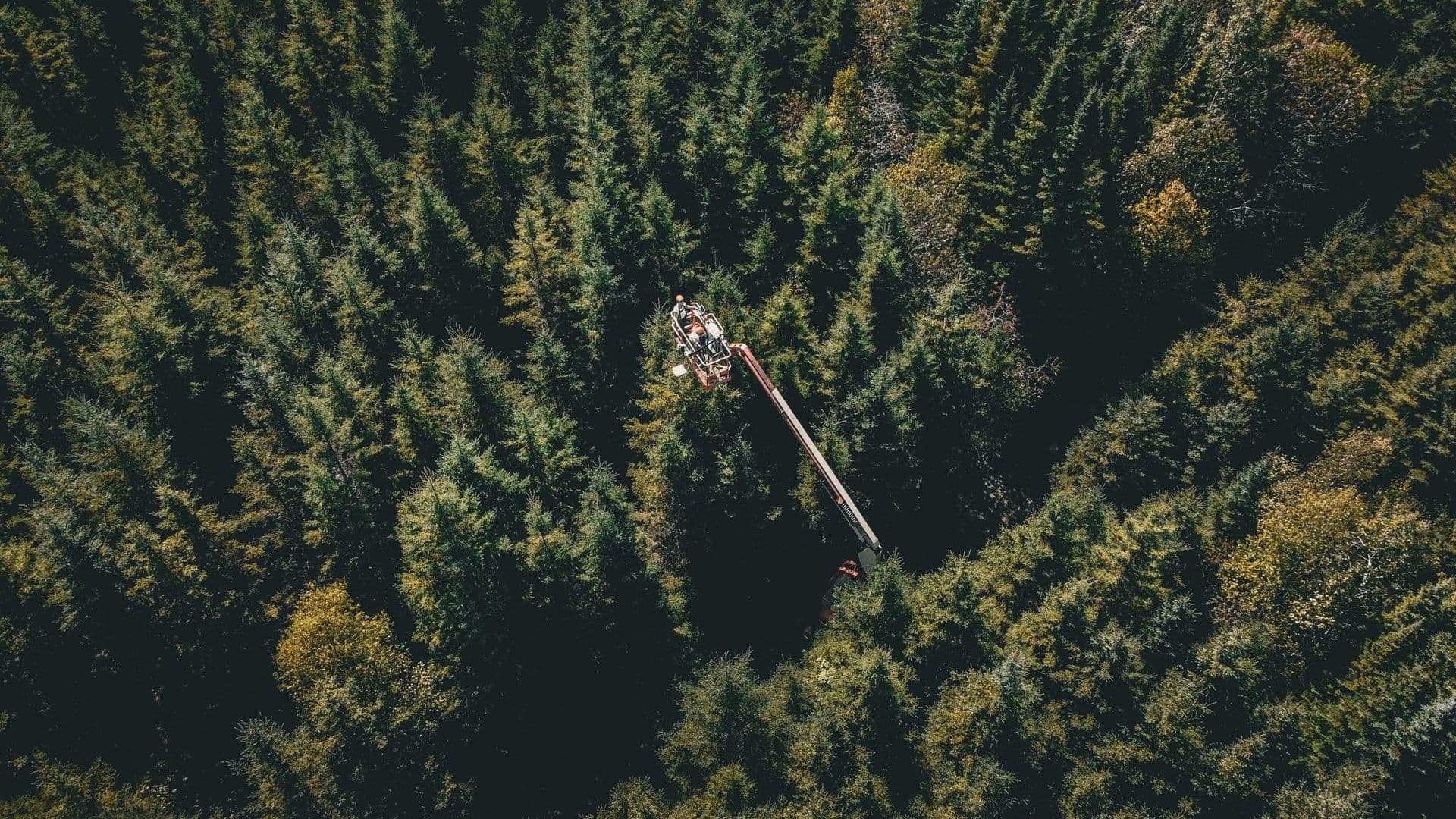 Tout au long du mois, les citoyens avaient accès à divers outils en ligne pour y participer, et un rapport livrant les premiers résultats est attendu prochainement.
