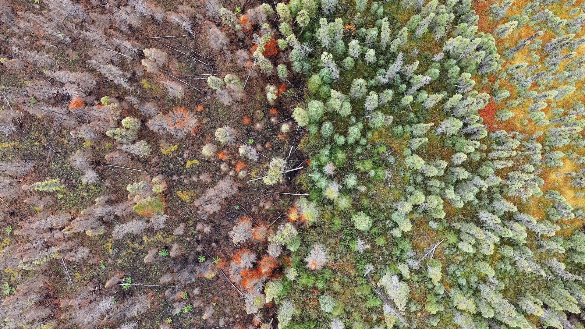 Cette méthode — alliant différents savoirs — pourrait offrir une vision plus complète et permettrait d'améliorer la gestion et la conservation du territoire.