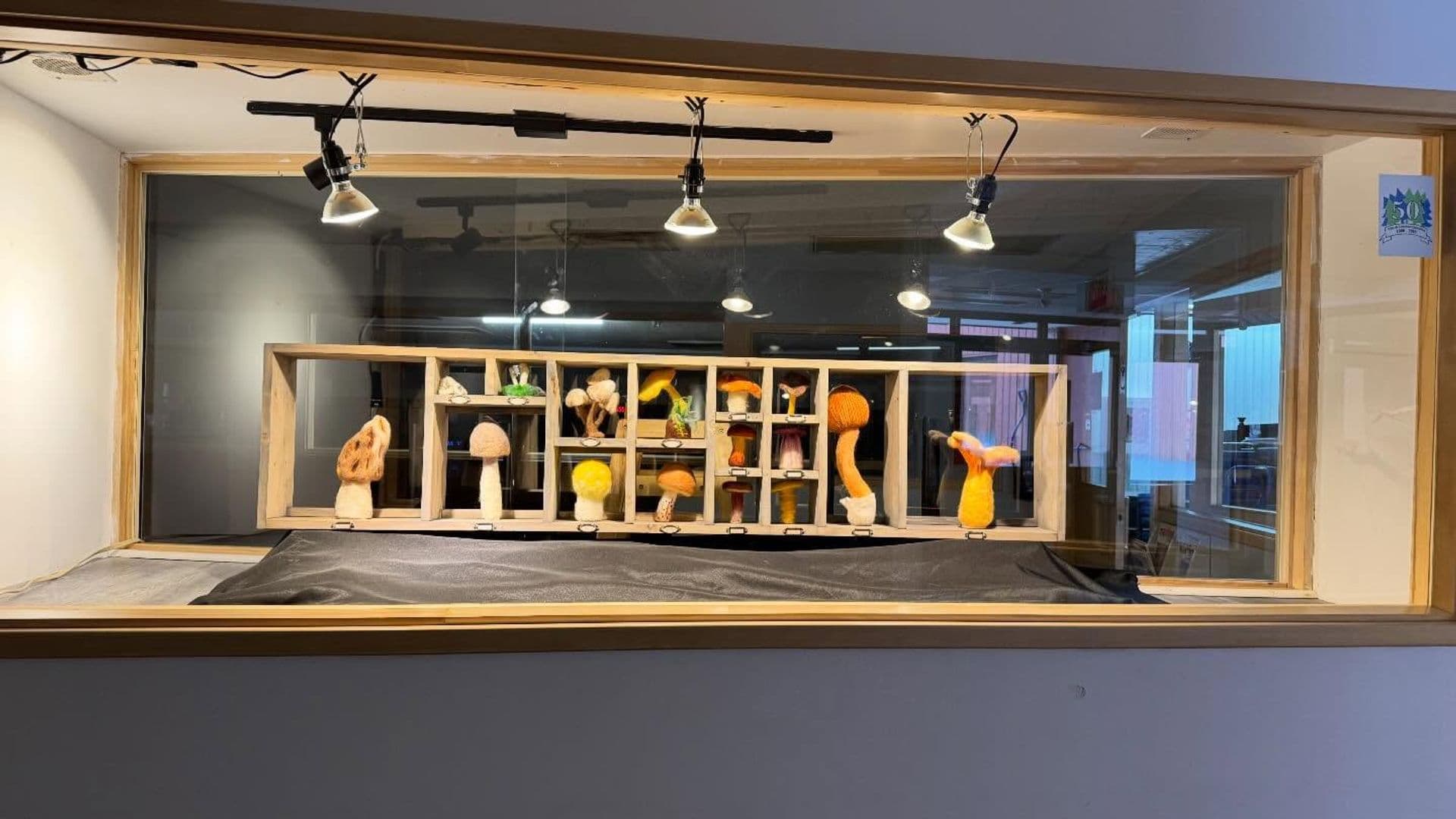 Le projet consiste à transformer des éléments naturels inusités en œuvres artistiques accessibles au grand public.