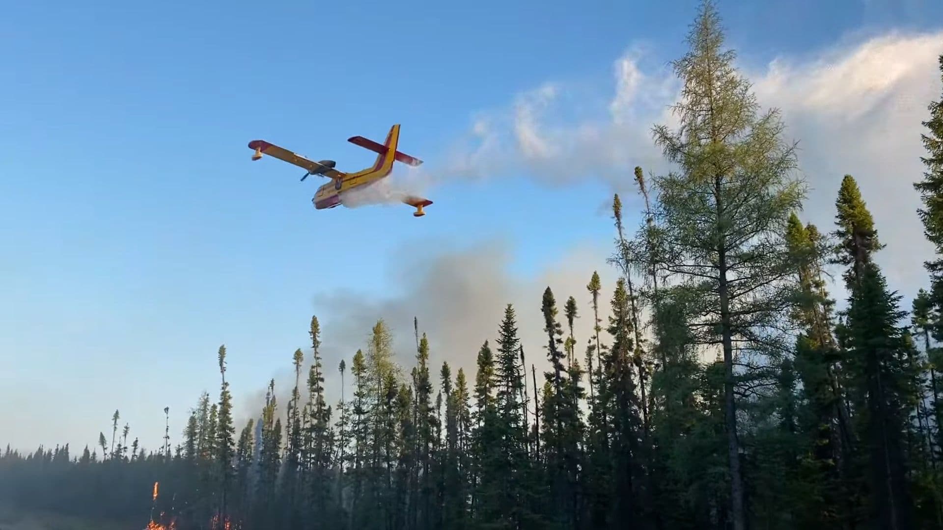 Ce projet vise également à renforcer la prévention des feux de forêt à travers le programme Intelli-feu.