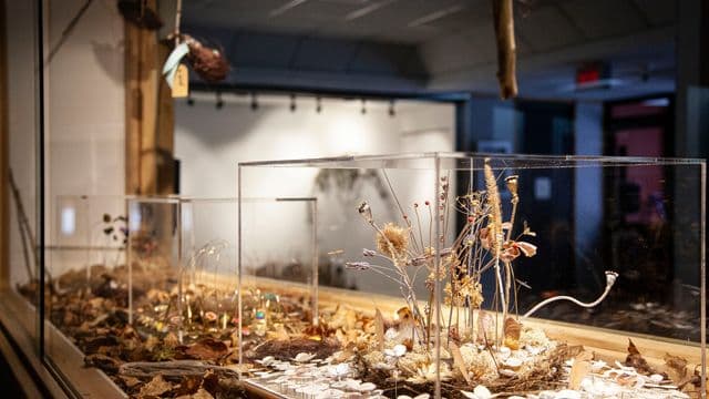 Les Vitrines Arts actuels lancent un appel à projets pour leur programmation 2027
