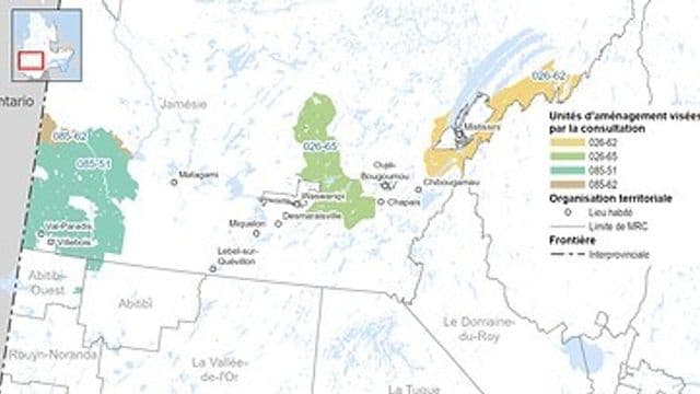 Nord-du-Québec : le MRNF ouvre une consultation sur les nouveaux plans forestiers